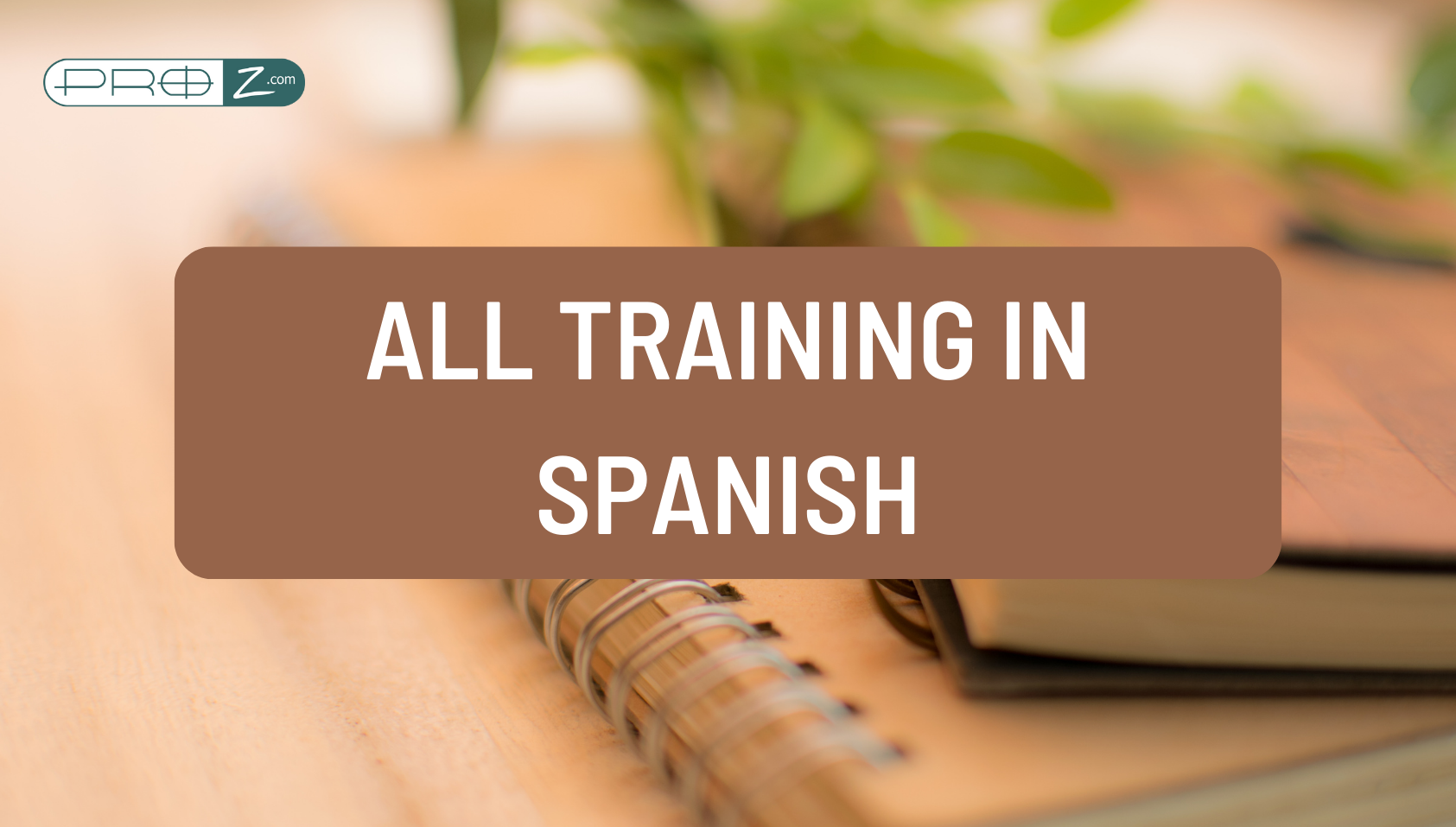 All training in spanish